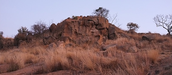Image of an outcropping of rock in South Africa