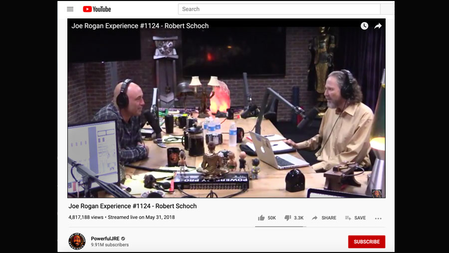 Screen capture from October 2020 of Robert Schoch Interview with Joe Rogan posted to YouTube