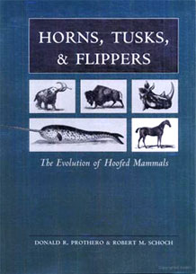 Front cover of Horns, Tusks, and Flippers
