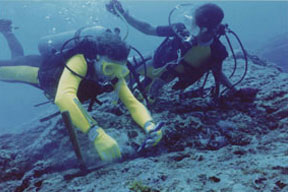 Image of Robert Schoch diving the underwater monument at Yonaguni, Japan